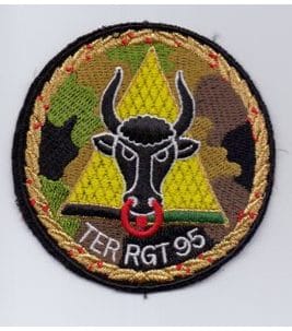 TER RGT 95