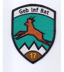 GEB INF BAT 17